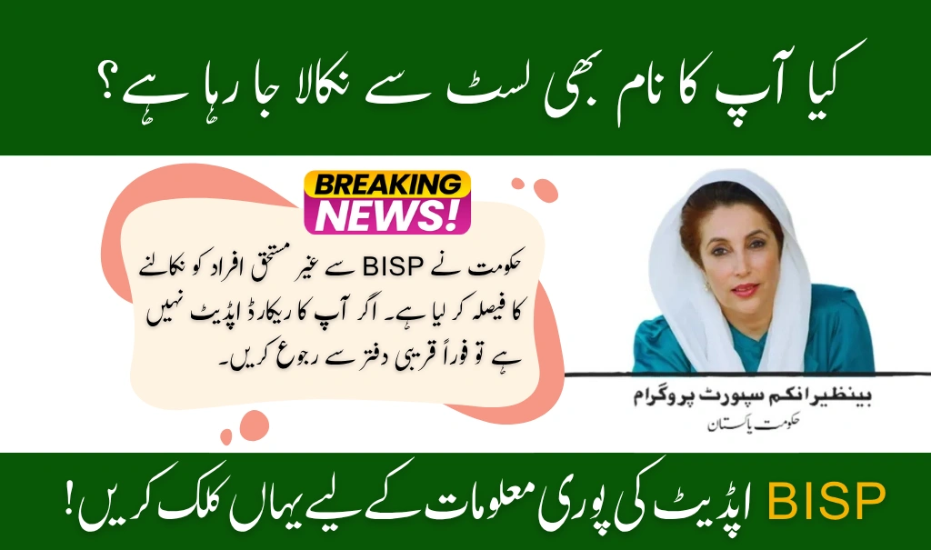 BISP 2025 Update July Payments Stopped for Ineligible Families
